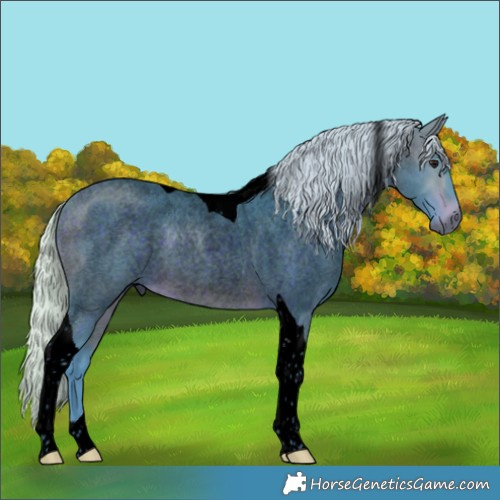 Horse Color:Void Watercolor Silver Bay Roan Tobiano 