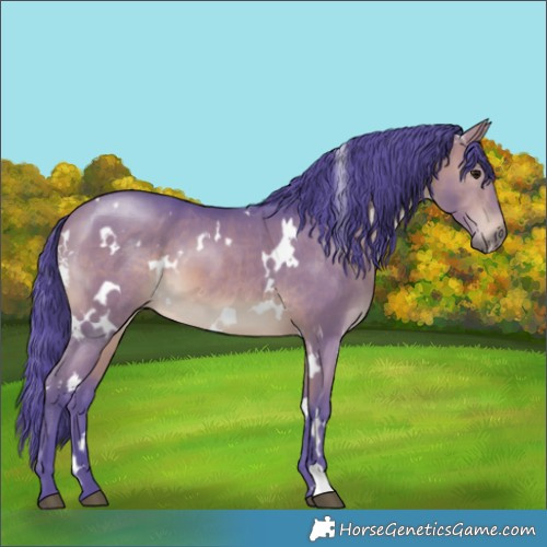 Horse Color:Platinum Watercolor White Spotted Bay