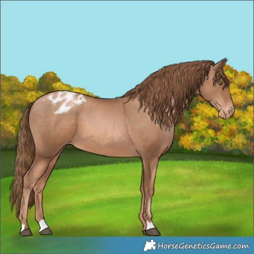 Horse Color:Liver Chestnut Pearl Varnish 