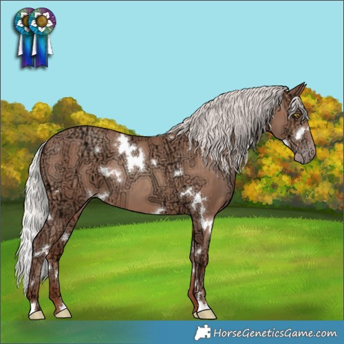 Horse Color:White Spotted Silver Sable Champagne Ice