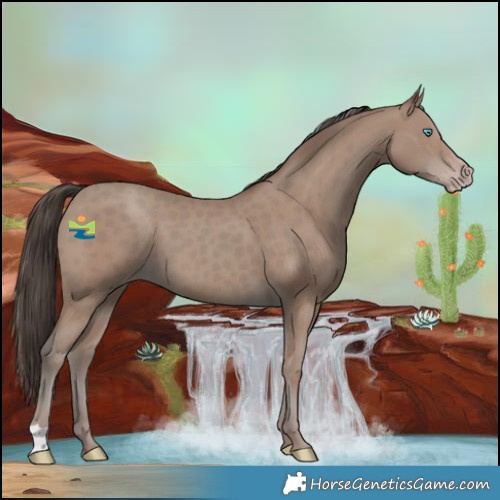 Horse Color:Classic Champagne 