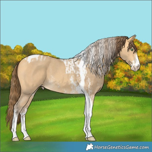 Horse Color:Amber Cream Champagne Sabino Tobiano Varnish  and Amber Cream Champagne Sabino Tobiano Varnish 
