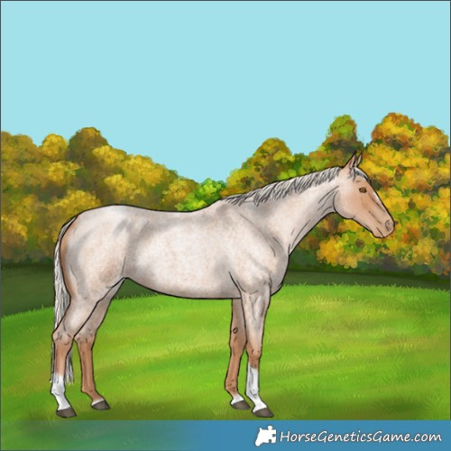Horse Color:Silver Blue Roan Pearl Tobiano Frame