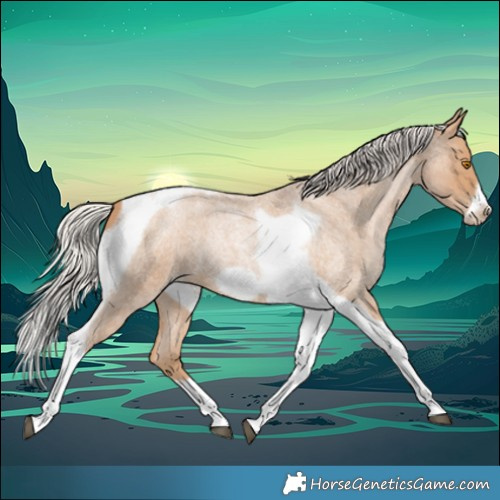 Horse Color:Silver Blue Roan Pearl Tobiano Frame 