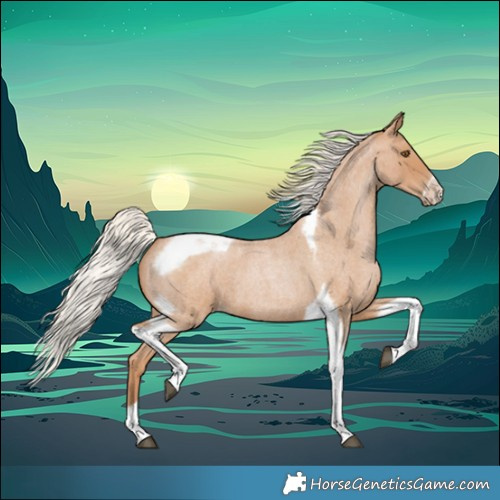 Horse Color:Silver Blue Roan Pearl Tobiano Frame 