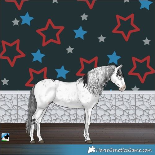 Horse Color:Black Sabino Rabicano 