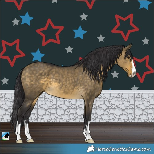 Horse Color:Buckskin Dun 