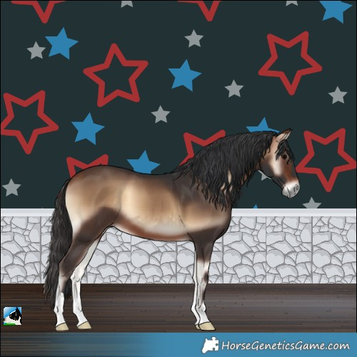 Horse Color:Bay Onyx
