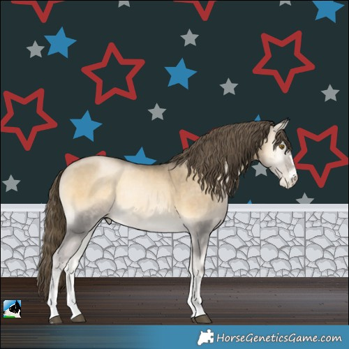 Horse Color:Smoky Blue Onyx Pearl Rabicano