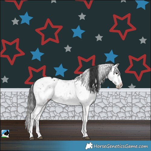 Horse Color:Black Sabino