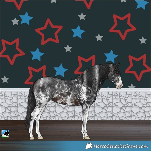 Horse Color:Brown Sabino