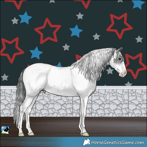 Horse Color:White Spotted Black