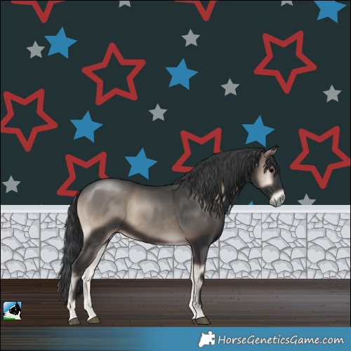Horse Color:Blue Onyx