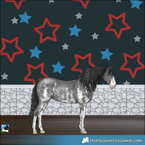 Horse Color:Black Sabino Rabicano 