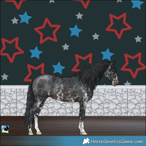 Horse Color:Brown Sabino Rabicano
