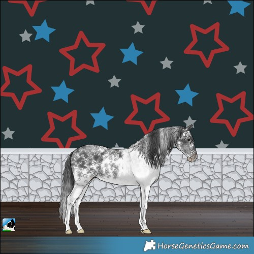 Horse Color:Black Sabino