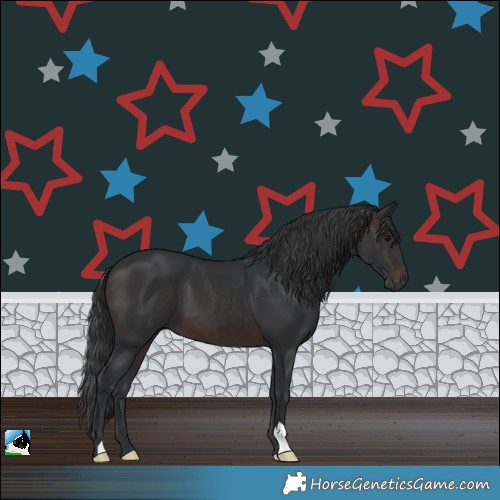 Horse Color:Brown 