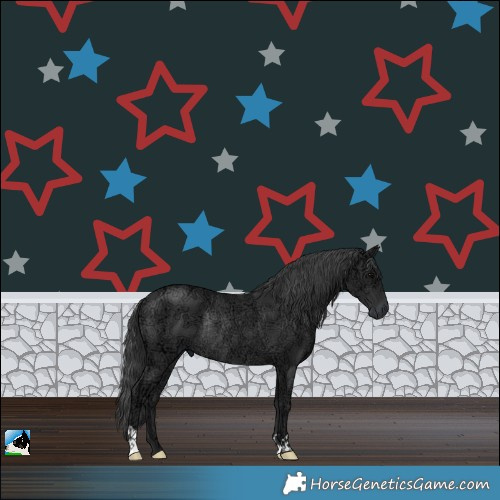 Horse Color:Black Ice Rabicano