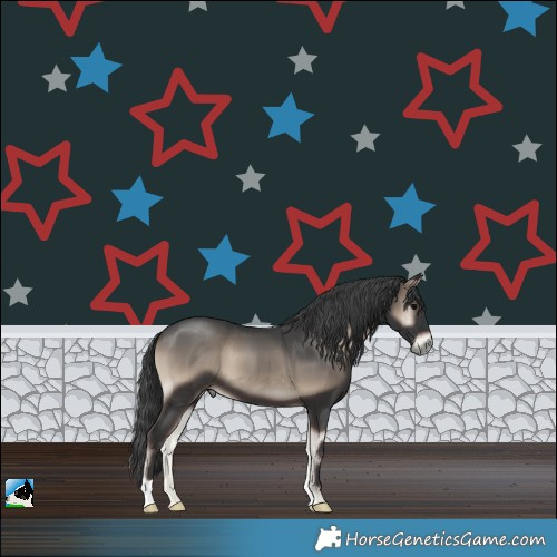 Horse Color:Blue Onyx