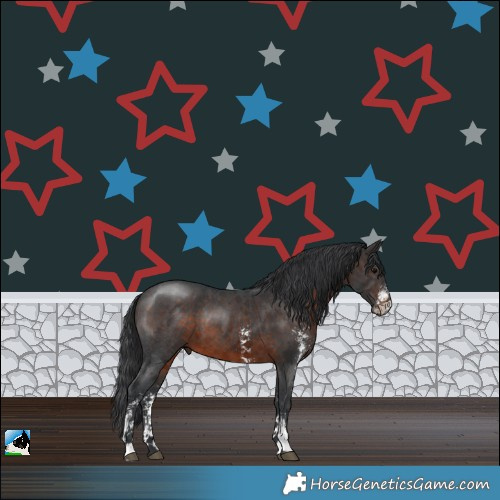 Horse Color:Brown Sabino