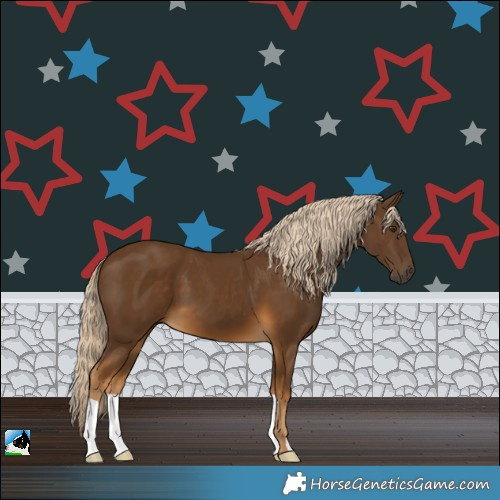 Horse Color:Chocolate Palomino 