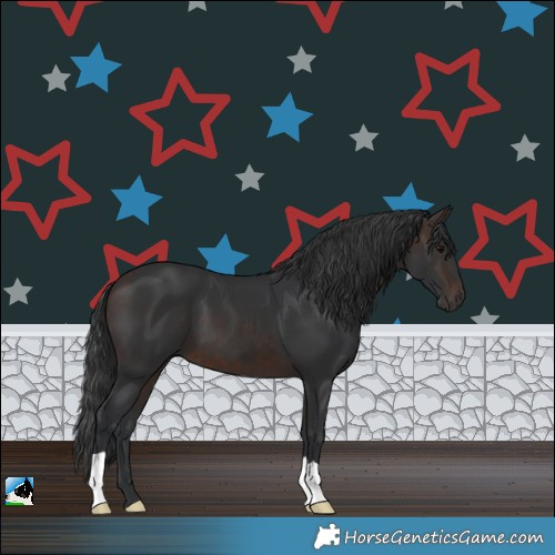 Horse Color:Brown 