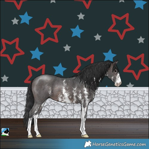 Horse Color:Brown Sabino Rabicano
