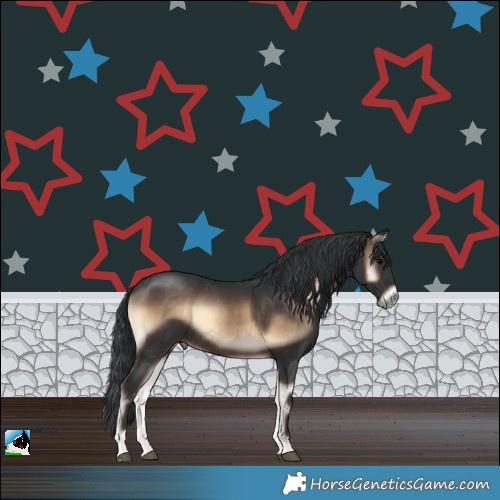 Horse Color:Brown Onyx Rabicano