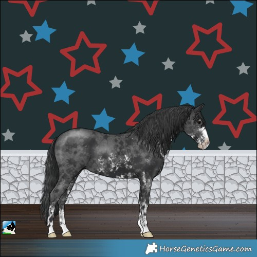 Horse Color:Black Sabino