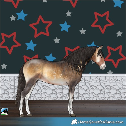Horse Color:Buckskin Onyx Sabino Rabicano 