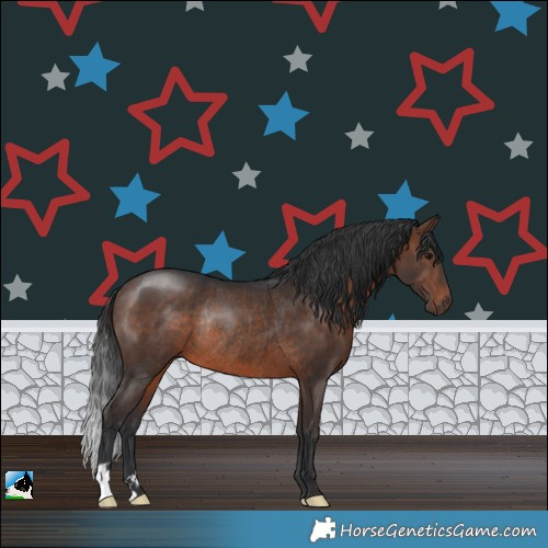 Horse Color:Brown Rabicano