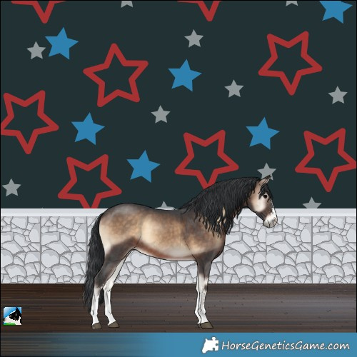 Horse Color:Brown Onyx Sabino Rabicano 