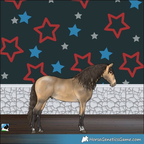 Horse Color:Buckskin