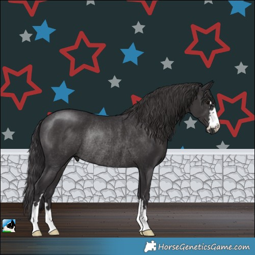 Horse Color:Smoky Black Rabicano
