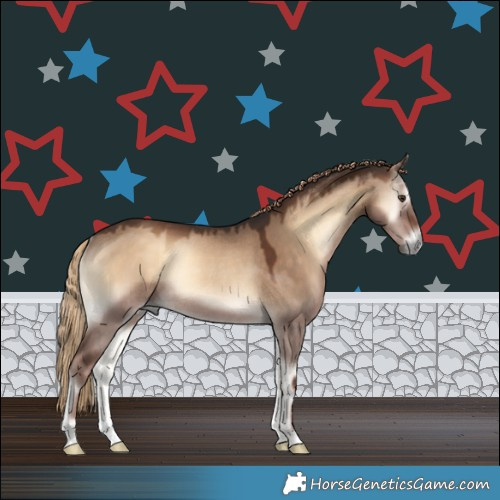 Horse Color:Liver Red Dun Onyx Rabicano 