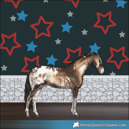 Horse Color:White Spotted Liver Red Onyx Appaloosa Rabicano