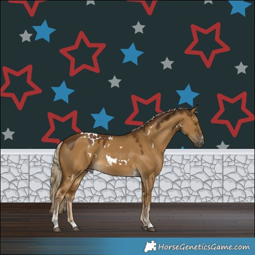 Horse Color:White Spotted Chocolate Palomino Dun Sabino Rabicano