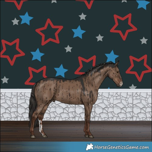 Horse Color:Liver Red Dun Sabino Rabicano Brindle