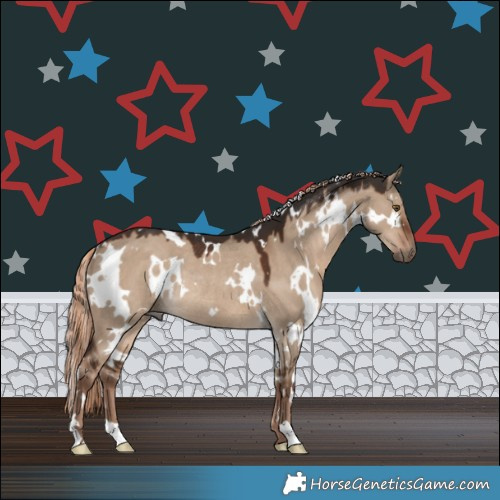 Horse Color:White Spotted Liver Red Dun Rabicano 