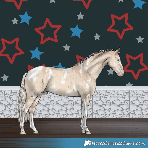 Horse Color:White Spotted Cremello Dun Tobiano Rabicano Brindle