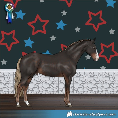 Horse Color:Liver Chestnut Sabino Rabicano