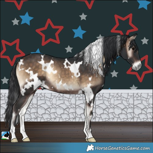 Horse Color:White Spotted Brown Onyx Rabicano 
