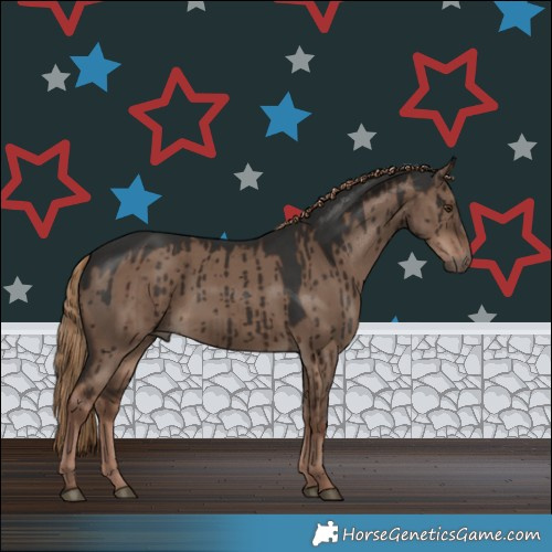 Horse Color:Liver Red Dun Rabicano Brindle