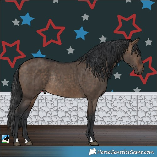 Horse Color:Bay Dun Rabicano Brindle
