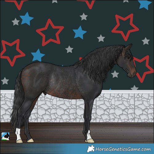 Horse Color:Brown Rabicano 