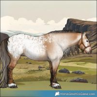 Horse Color:Gray Red Dun Blanket and Gray Bay Dun Blanket