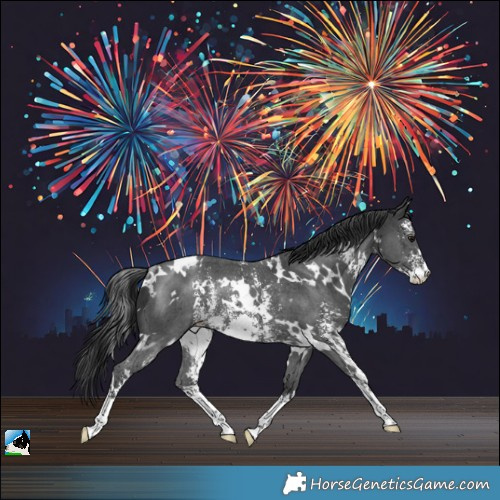 Horse Color:White Spotted Black Sabino Rabicano 
