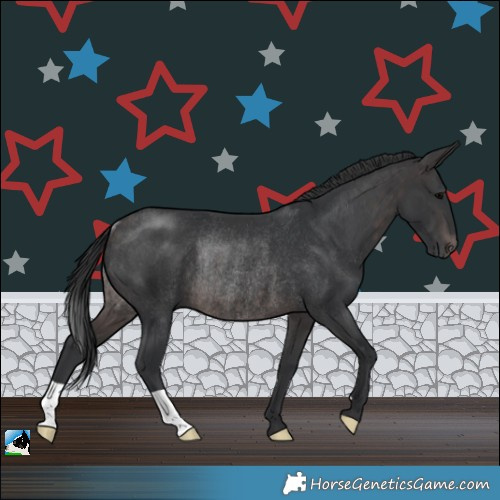 Horse Color:Platinum Brown Rabicano 