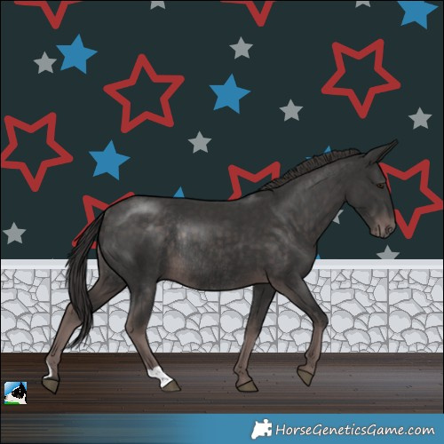 Horse Color:Platinum Liver Chestnut Rabicano 
