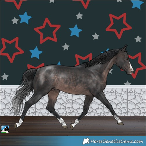 Horse Color:Platinum Brown Rabicano